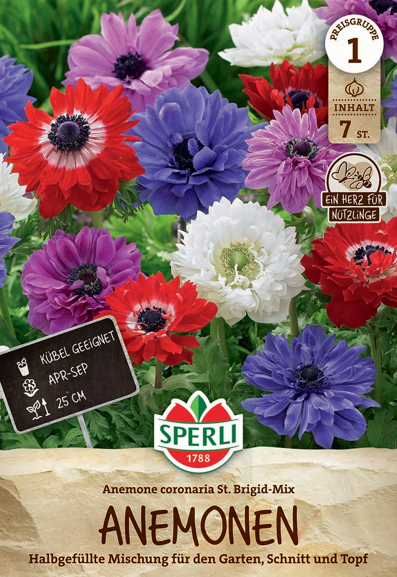 Bunte Anemonen in Rot, Blau, Lila und Weiß im Garten, mit Labels und Markenlogo.