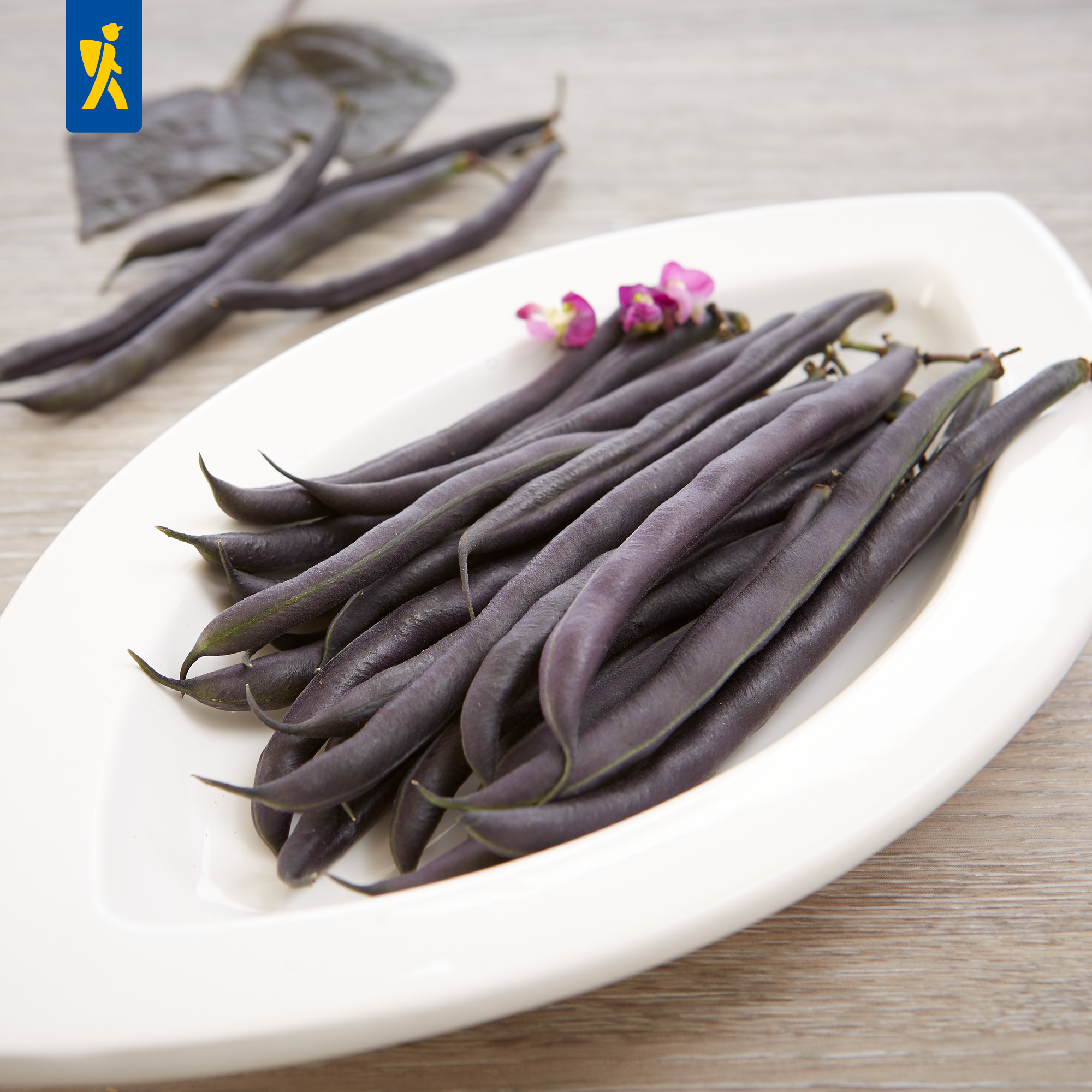 Bohnenspeere mit dunkelvioletten, langen, flachen Hülsen, auf weißem Teller, mit kleinen rosa Blüten.