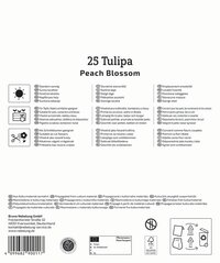 Blumensteckbrief Übersicht mit pflegeanleitungen und Symbols, 25 Tulipa Pflegetipps in mehreren Sprachen.
