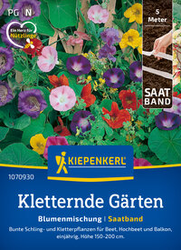 Blumenmischung für Klettergärten mit bunten Schling- und Kletterpflanzen, einjährig, Höhe 150-200 cm.