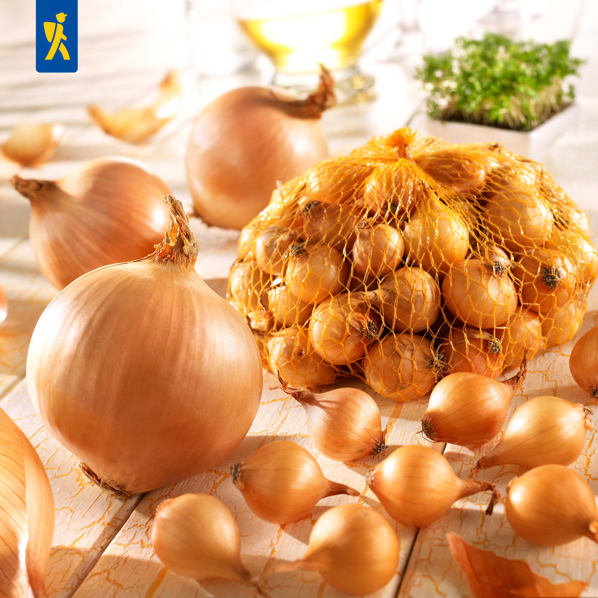 Zwiebeln in Netz, lose Zwiebeln, Knoblauchzehen, Küchenkräuter und ein Glas Öl auf weißem Holztablett.