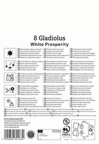 Anleitung für Gladiolus in mehreren Sprachen mit Symbolen für Sonnenlicht, Wasser, Pflanzung und Pflege.