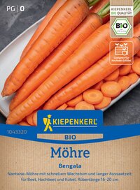 Frische, orange Karotten, einige in Scheiben geschnitten, auf weißem Teller, mit Pflanzensymbol und Bio-Label.