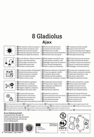 Anleitung für Gladiolus Ajax Pflanzung in 24 Sprachen mit Icons, Adresse und Barcode.