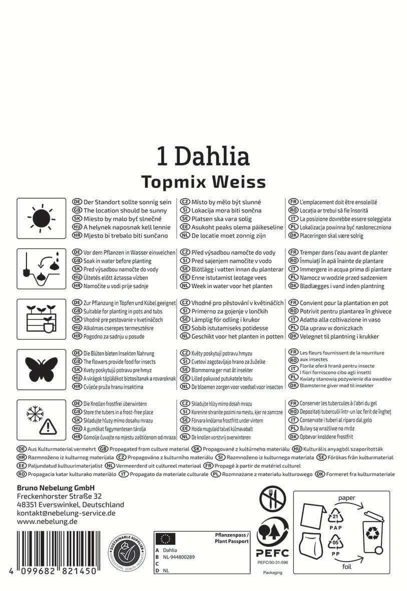 Dahlia Topmix Weiss Pflanzanleitung Symbole und Text auf Etikett, enthält Anweisungen, Wahrnehmung der Pflanze.