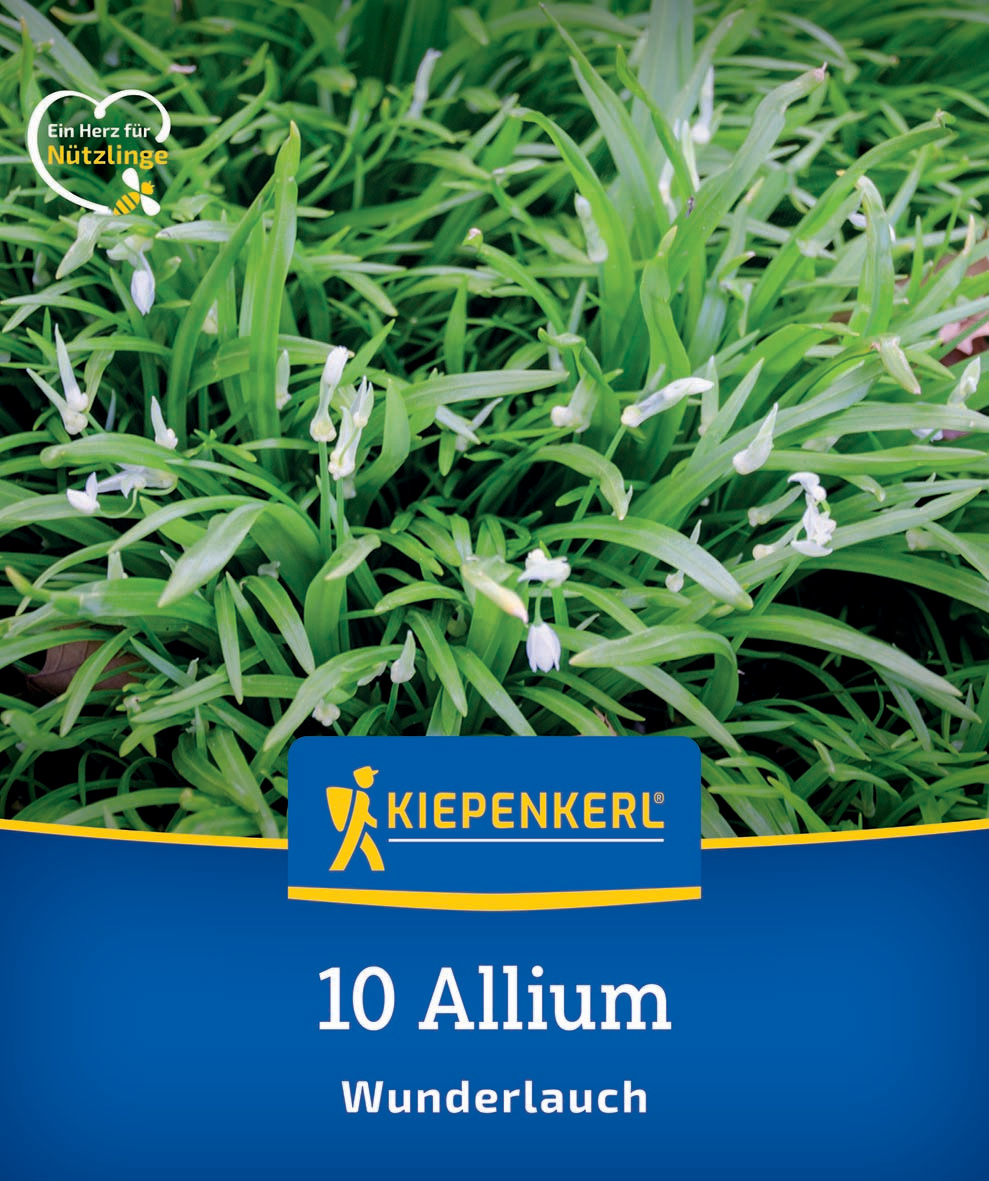 Pflanzen mit weißen Blüten und langen grünen Blättern auf der Verpackung.