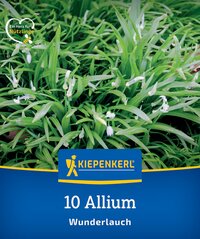 Pflanzen mit weißen Blüten und langen grünen Blättern auf der Verpackung.