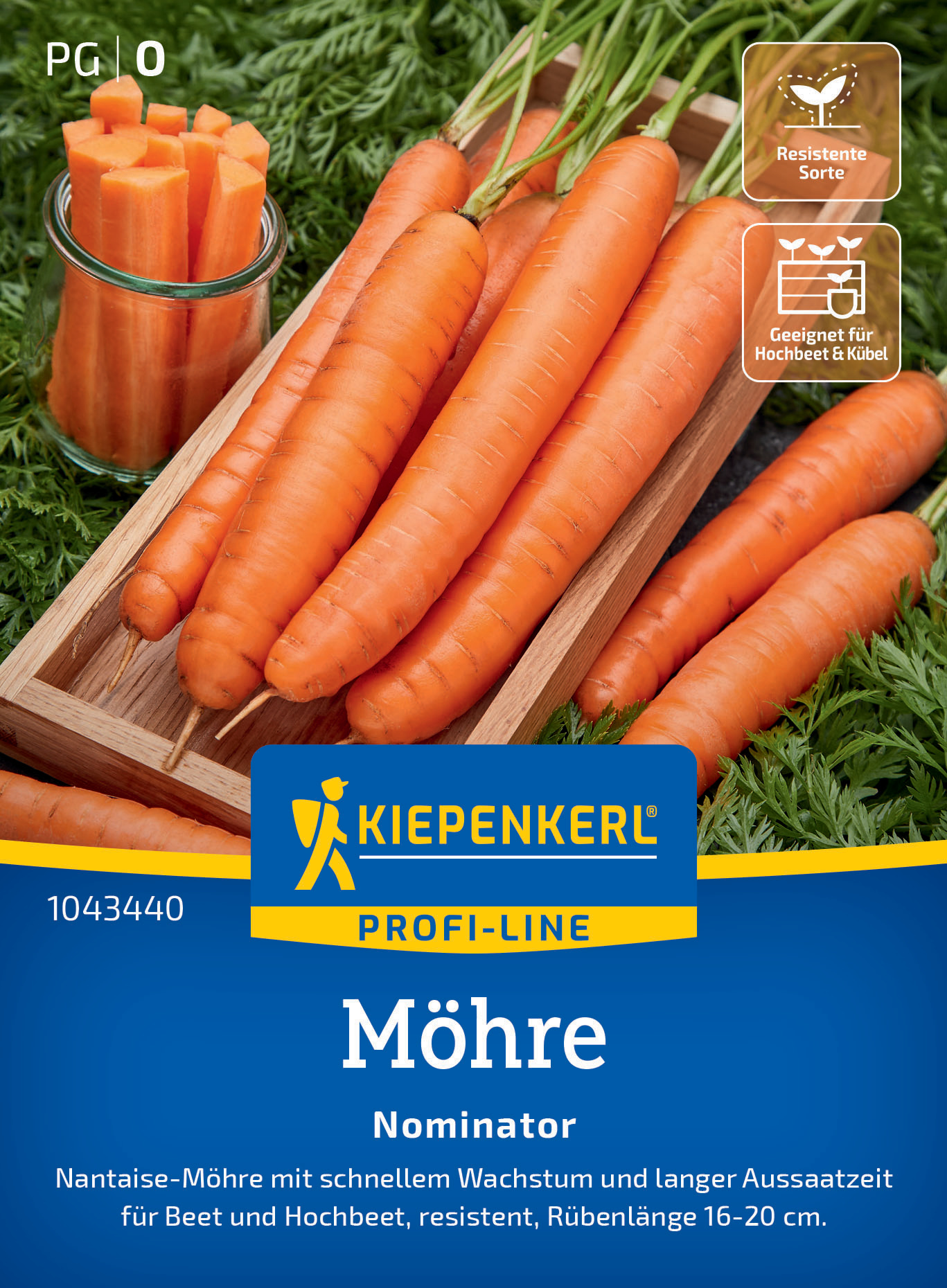 Bündel Karotten, eine Gläser mit in Stücke geschnittenen Karotten und grüne Blätter im Hintergrund.