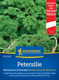 Kräuterbeet mit Petersilie in dunkelgrüner Farbe, im Garten eingepflanzt.