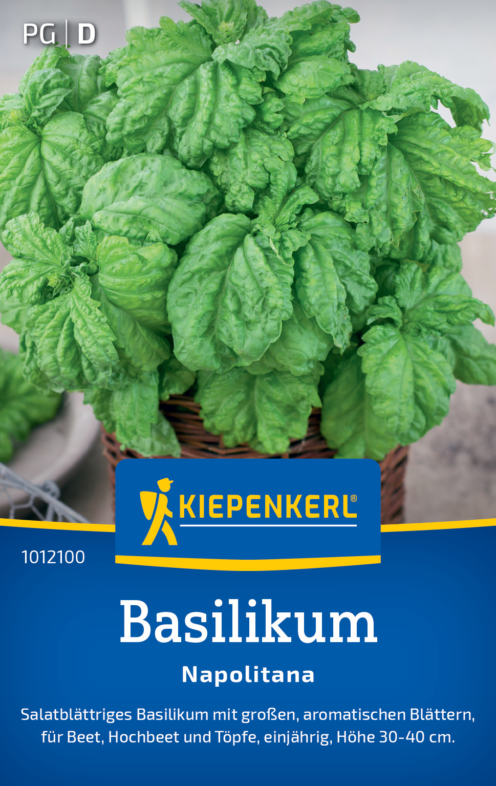 Basilikum, große aromatische Blätter, für Beet, Hochbeet und Töpfe, einjährig, Höhe 30-40 cm.