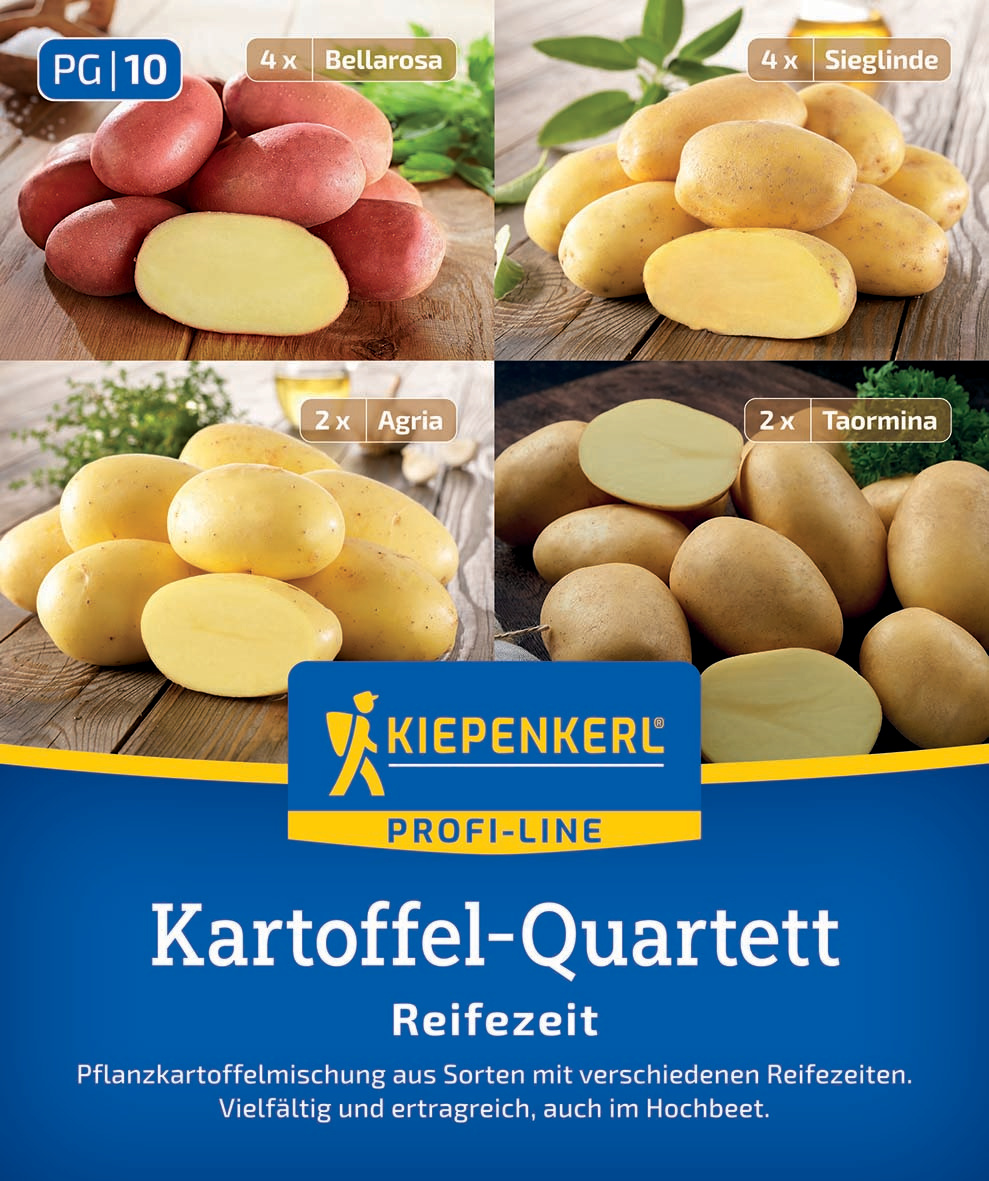 Vier rote La Rossa, vier gelbe Sieglinde, zwei gelbe Agria, zwei beige Taormina Kartoffeln auf Holzplatten.