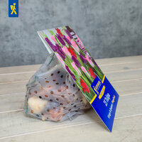 Blumen-Packung mit Tulpen in Violett, Pink und Rot, auf Holzplatte mit grauem Hintergrund.