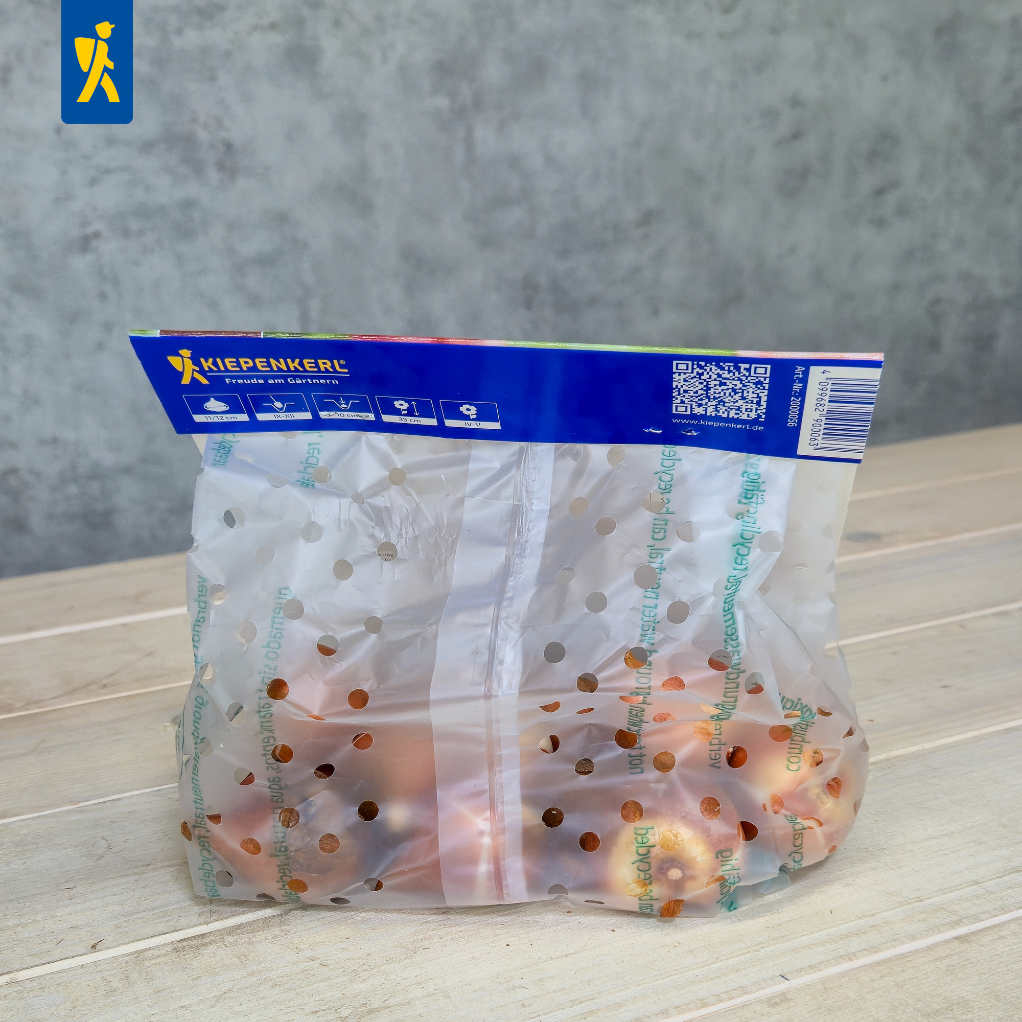 Blisterverpackung mit fünf roten Chili-Schoten gegen transparentem, perforiertem Kunststoff.