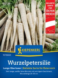 Weiße, lange Wurzeln mit grünen Enden, Pflanze auf Holzboden.