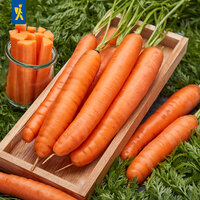 Frische Möhren liegen auf Holztablett auf einem Untergrund aus Grün, als Deko ein Glas mit in Stifte geschnittenen Möhren