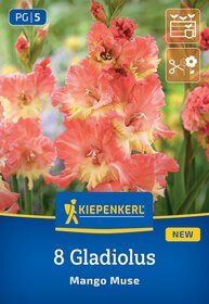 Pink-orange Gladiolus Blüten mit gelben Effekten, grüne Blätter im Hintergrund, Verpackung mit Kiepenkerl Logo.