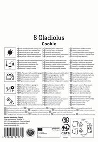 Anleitung für das Pflanzen eines Gladiolus Cookie in verschiedenen Sprachen mit Icons für Sonnenlicht, Wasser, Topf, Schneide.