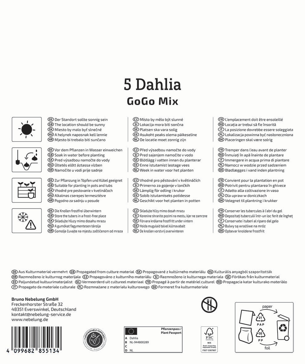 Anleitungstext in mehreren Sprachen mit Symbolen für das Pflanzen in Wasser, Töpfen, Frostschutz, Standort, Platzierung.