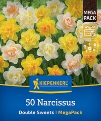 Blumenbeet mit weißen, gelben und peachfarbenen Narzissen, Kiepenkerl Logo, Text und Symbole.