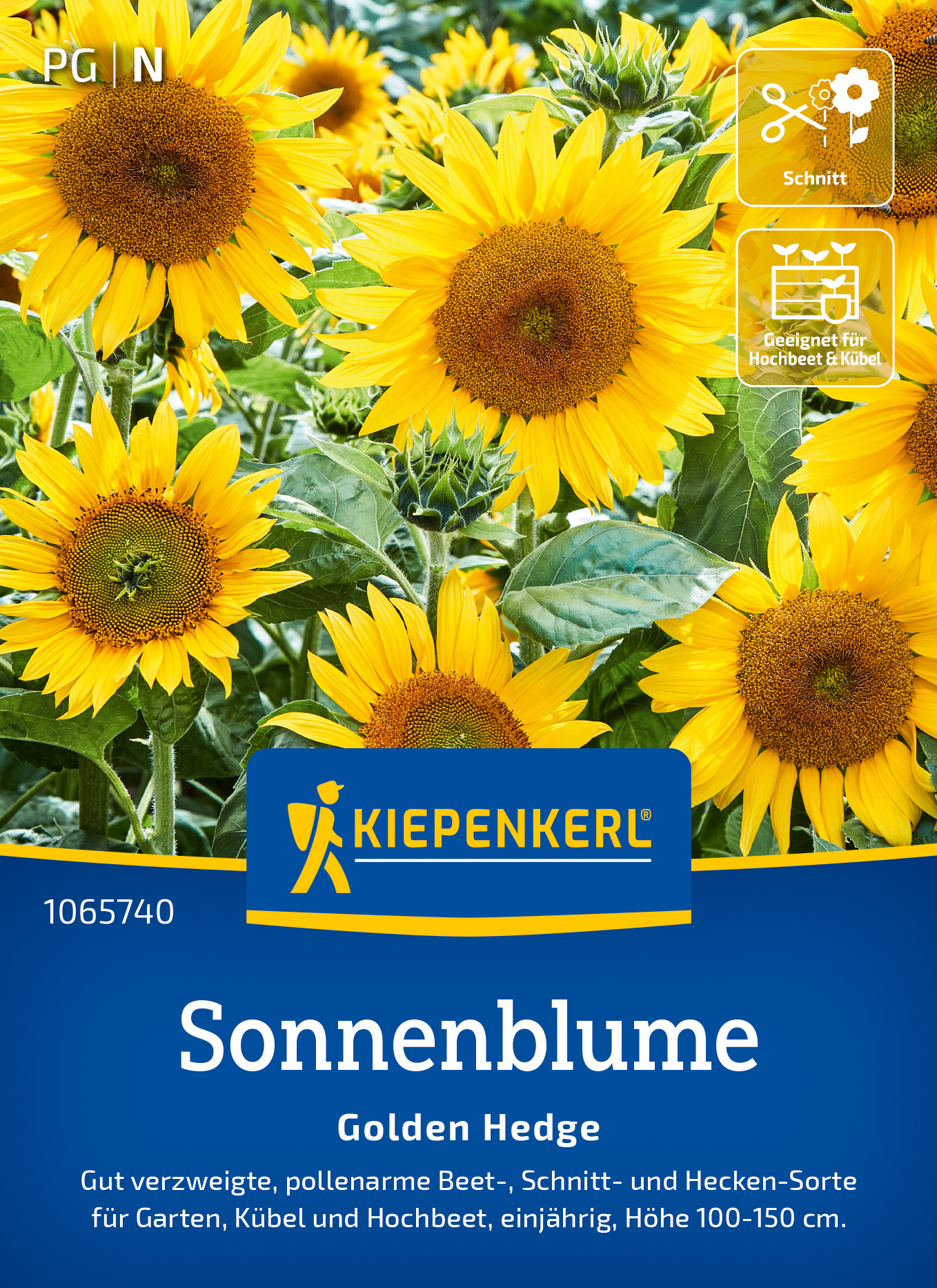 Sonnenblumen mit großen gelben Blüten, grünen Blättern, auf der Kiepenkerl Saatgutverpackung.