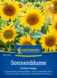 Sonnenblumen mit großen gelben Blüten, grünen Blättern, auf der Kiepenkerl Saatgutverpackung.