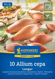 Mehrere kupferbraune lange französische Schalotten liegen auf grüner und weißer Stoffunterlage.