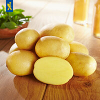 Mehrere gelbe Kartoffeln auf einem Holztisch, eine halbierte Kartoffel zeigt das Innere.