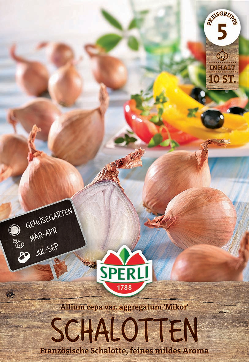 Zwiebel und eine Scheibe mit schwarzen und roten Wacholderbeeren auf einer weißen Platte, im Hintergrund Glas mit Pflanze.