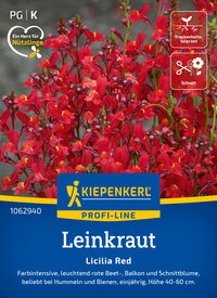 Leinkraut Licilia Red mit roten Blüten und grünen Blättern, Pflanze in Blüte, Höhe 40 bis 60 cm.