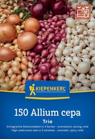 Verschiedene Zwiebeln in Weiß, Rot und Braun auf einem Marktstand.