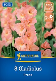 Bunte Gladiolusblumen in Peach- und Apricot-Tönen vor grünem Hintergrund auf der Verpackung.