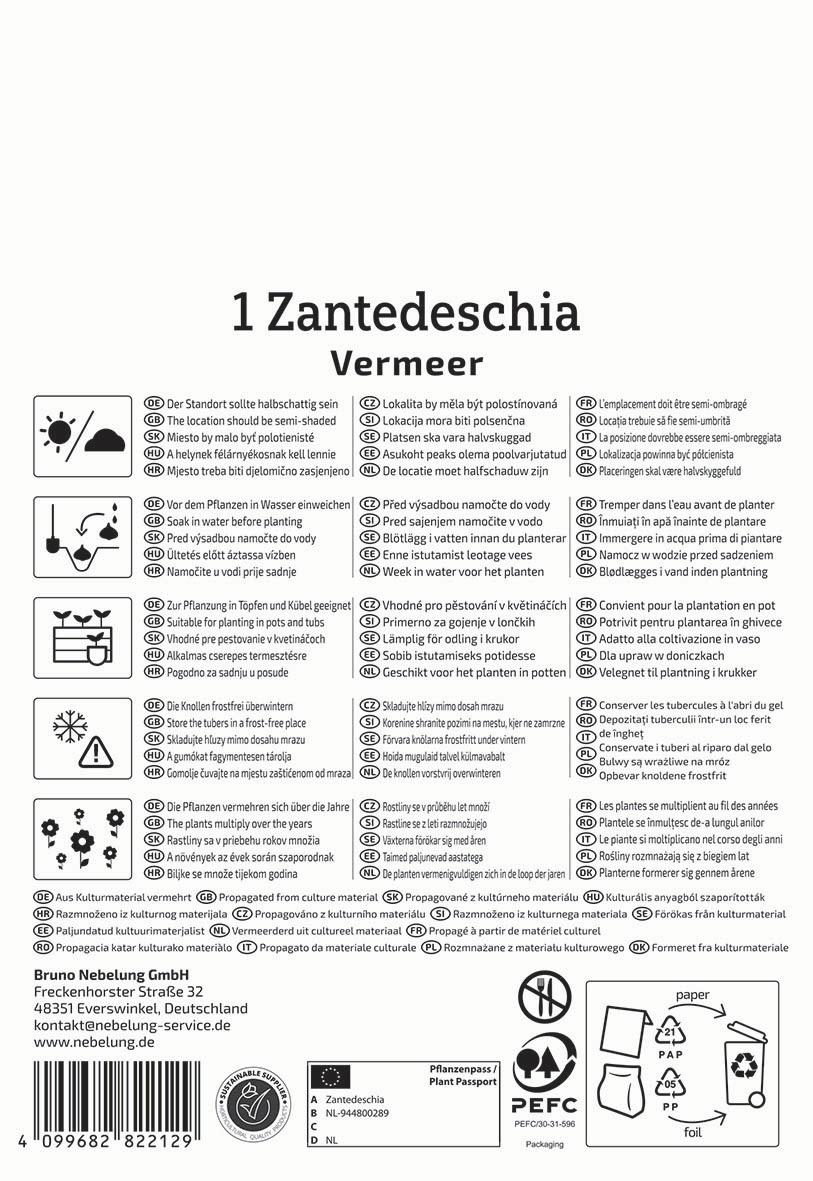 Anleitungstext für die Pflege und Pflanzung einer Zantedeschia Vermeer mit Symbolen und sechssprachigen Anweisungen.