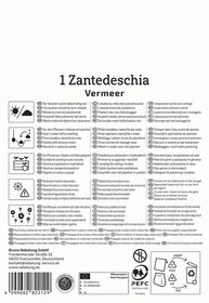 Anleitungstext für die Pflege und Pflanzung einer Zantedeschia Vermeer mit Symbolen und sechssprachigen Anweisungen.