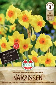 Poetaz-Narzisse Martinette