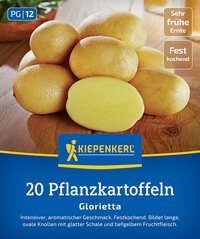 Pflanzkartoffeln Glorietta, oval, mit glatter Schale, fractures Fruchtfleisch auf, auf Holztisch, Verpackung mit blauer Beschriftung.