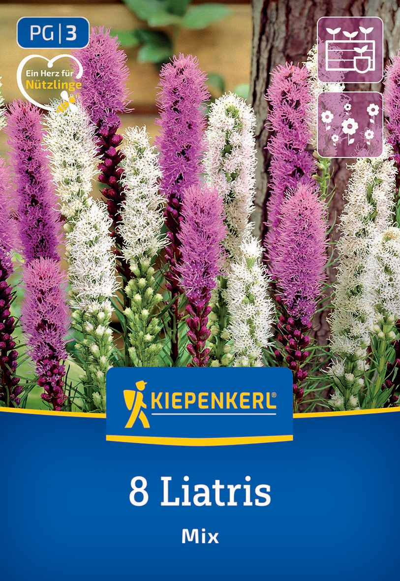 Bunte Lilienblüten in Weiß, Rosa und Lila wachsen vor Baumstamm.