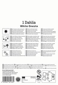 Anleitungsetikett mit Pflanzanweisungen, Symbole und Kontaktinformationen auf weißem Hintergrund.