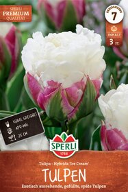 Premium Gefüllte Späte Tulpe Ice Cream