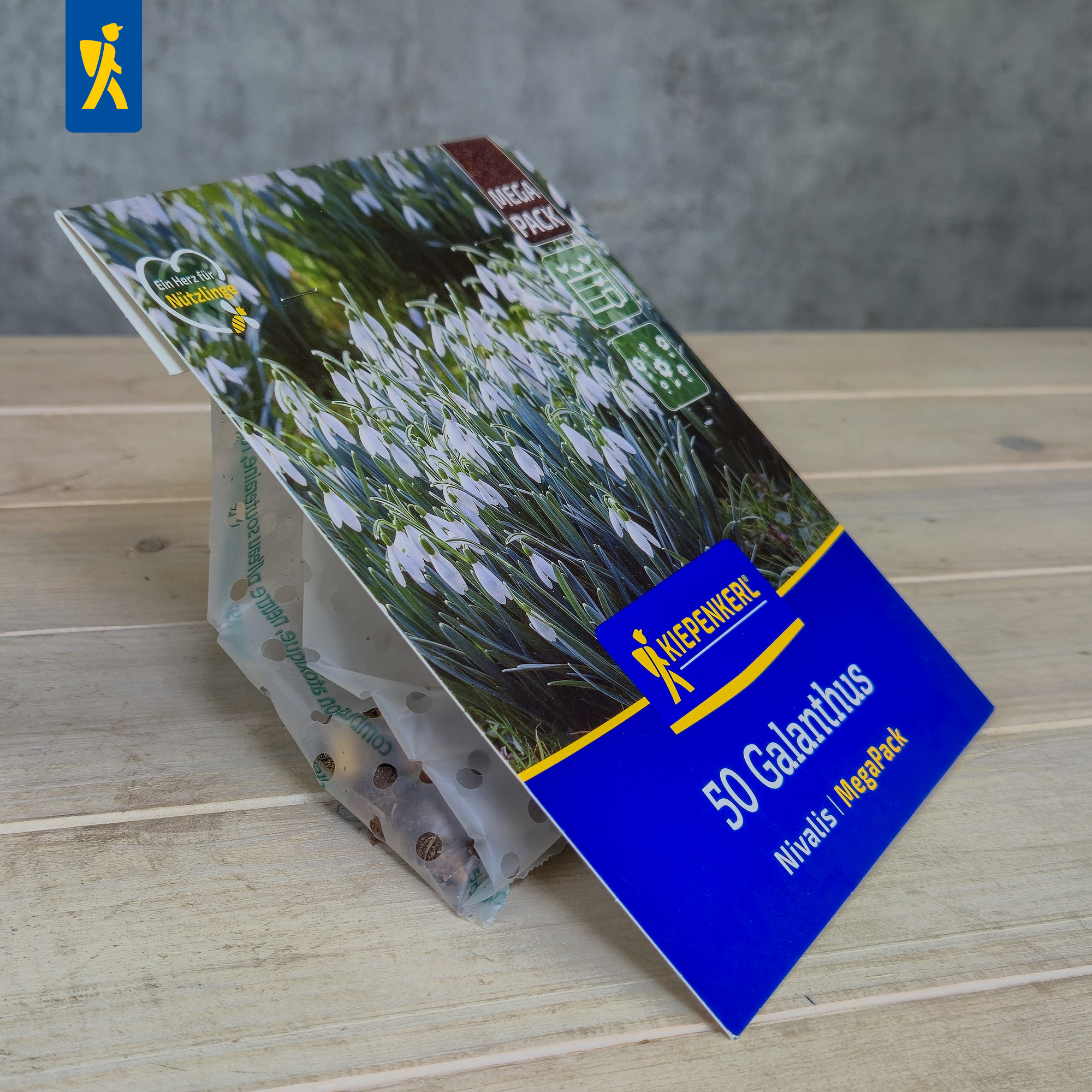 Verpackung mit Snowdrop-Blumen, blauer Etikett, 50 Galanthus, Nivalis Samenpackung, auf Holzoberfläche.