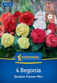 Bunte Begonien in Rot, Weiß und Gelb mit grünen Blättern, auf einer Gartenpackung.