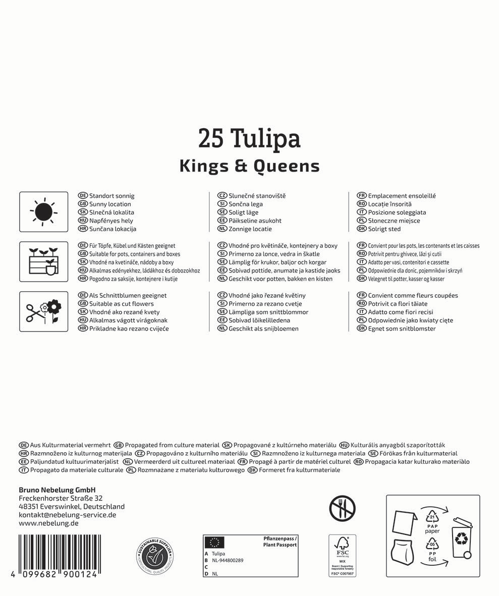 Schriftzug mit Nummer 25 Tulipa, Kings & Queens, in schwarzer Schrift auf weißem Hintergrund, mit Download-Icons.