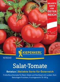 Rote Salattomaten mit Wassertröpfchen, verfügbar in Österreich, auf Verpackung.
