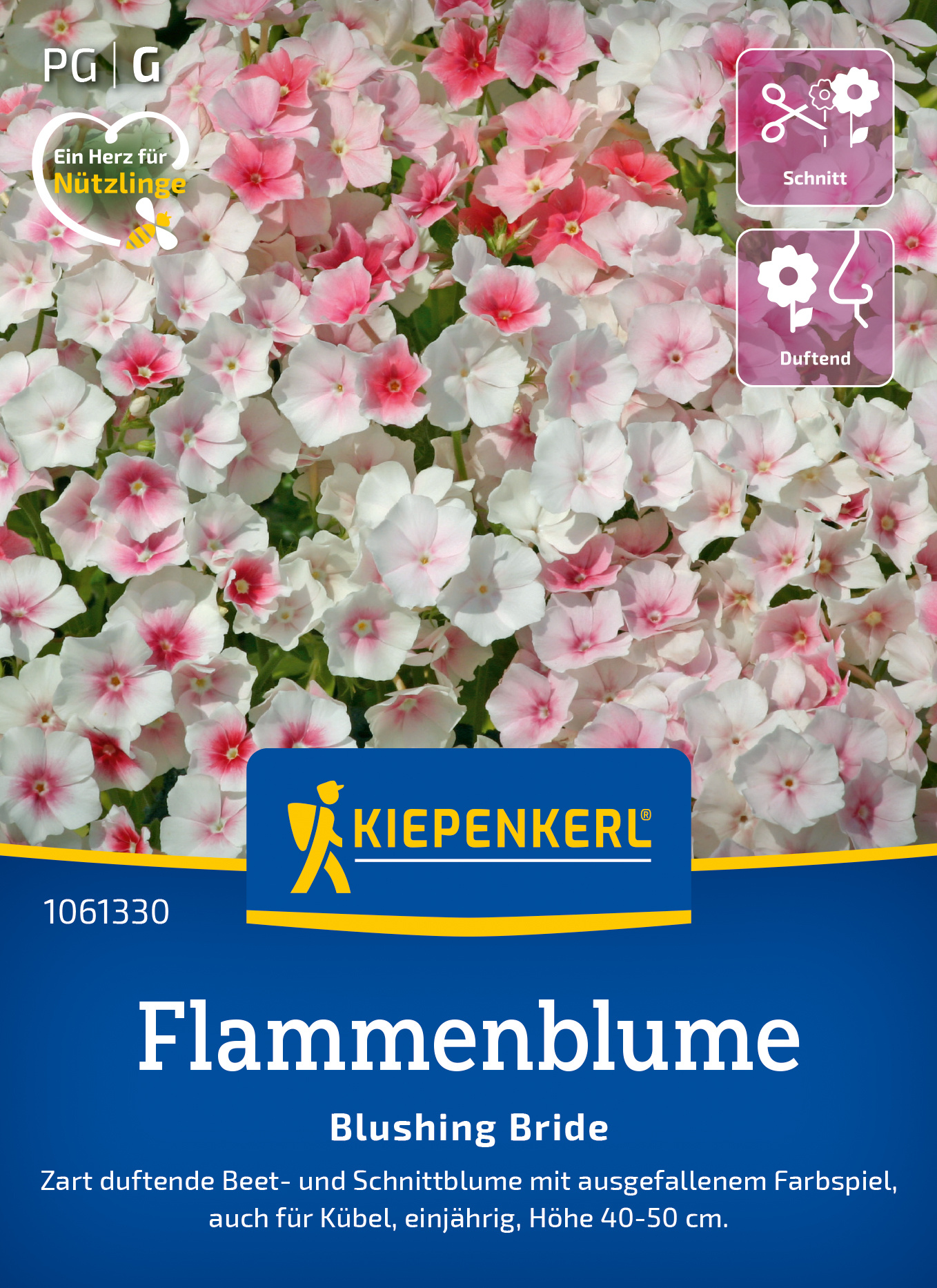 Pflanzenbild mit pink-weißen Petunien, Kiepenkerl Flammenblume, Hoch 40-50 cm, einjährig, duftend, für Kübel.