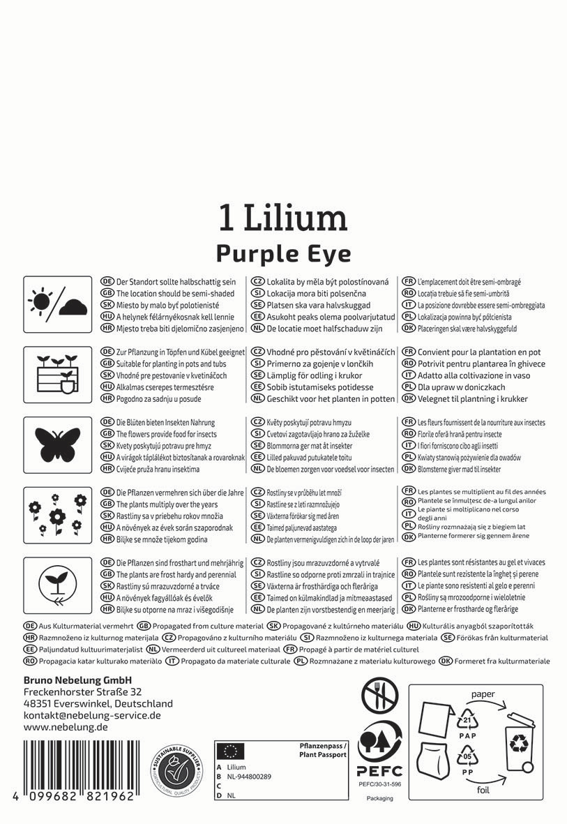 Anleitungstext für die Pflanze Lilium mit Pflegehinweisen in mehreren Sprachen auf einem weißen Hintergrund.