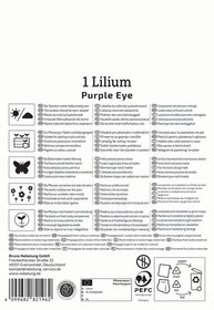 Anleitungstext für die Pflanze Lilium mit Pflegehinweisen in mehreren Sprachen auf einem weißen Hintergrund.