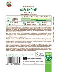 Buschbohne Pflanze mit grünen, runden Hülsen, ca. 18 cm lang, im Versandkarton.