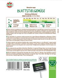 Blattstielgemüse, Radicchio, grüne Blätter, Sorte aus Nordrhein-Westfalen, in 60 Tagen reif.