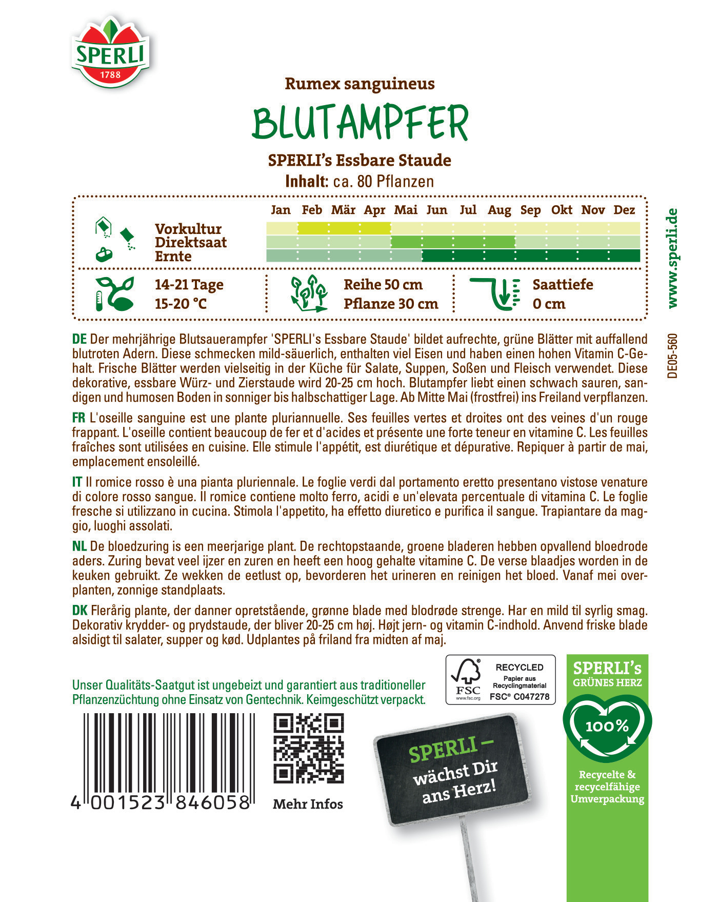 Blutampfer Pflanze, grüne Blätter, 20-25 cm hoch, vielseitig in der Küche verwendbar, liebt sonnige Standorte.