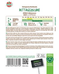 Blatt der Delosperma floribunda, mit dichter, kurzer Triebel und geringen Seitentiefe.