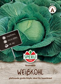 Weißkohl mit großen Köpfen, ideal für Sauerkraut, ab Juli lagerfähig, feste Köpfe